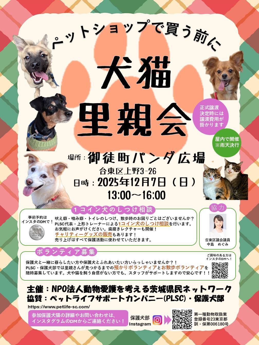 犬猫里親会